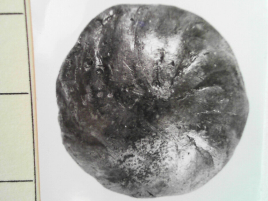 treskrin med lokk. inneholdende 13 ? knapper og et garnnøste. :: 431Q - knapp :: 431I - knapp :: 431K - knapp :: 431 L - knapp