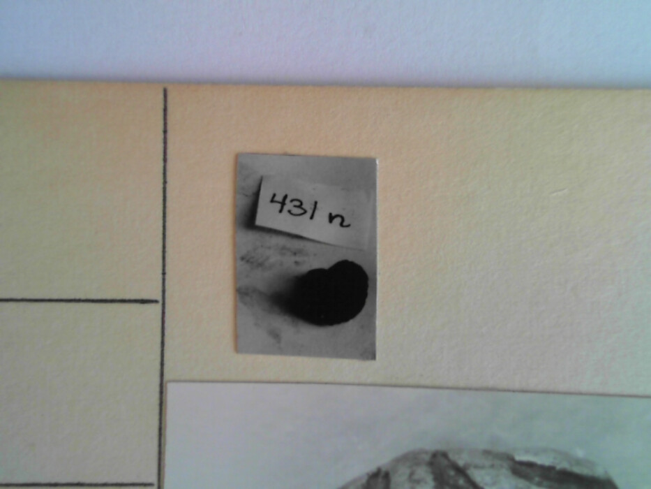 treskrin med lokk. inneholdende 13 ? knapper og et garnnøste. :: 431Q - knapp :: 431I - knapp :: 431K - knapp :: 431 L - knapp