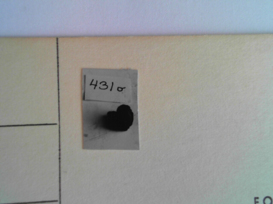 treskrin med lokk. inneholdende 13 ? knapper og et garnnøste. :: 431Q - knapp :: 431I - knapp :: 431K - knapp :: 431 L - knapp