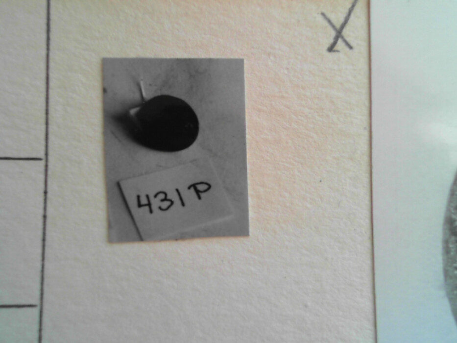 treskrin med lokk. inneholdende 13 ? knapper og et garnnøste. :: 431Q - knapp :: 431I - knapp :: 431K - knapp :: 431 L - knapp