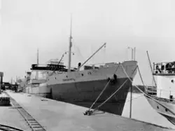 De-No-Fa De Nordiske Fabriker, Øra i Fredrikstad. Billedaeri