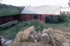 Byte av vasstak på en ladugård i Törnbotten.