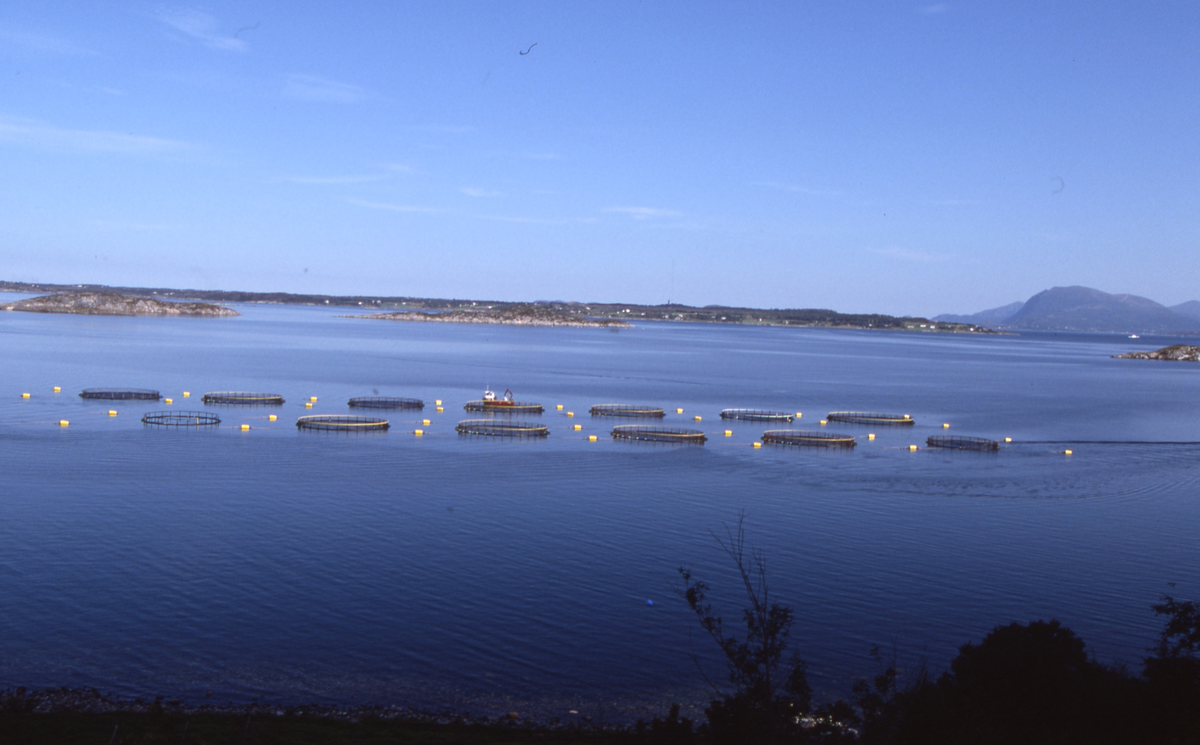 Utsikt mot oppdrettsanlegg