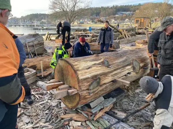 En trestamme er i ferd med å splittes gjennom isatte spiler. Flere menn står rundt. Vann, brygger og en åsrygg i bakgrunn. 