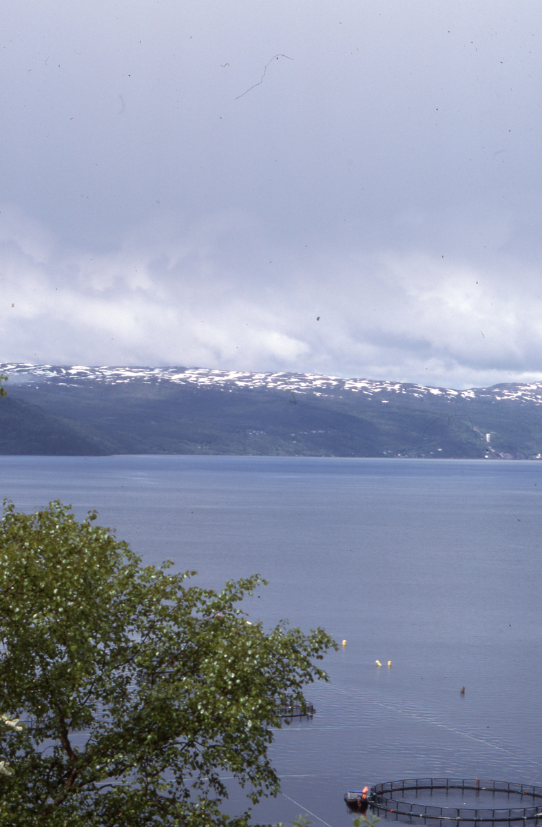 Utsikt mot oppdrettsanlegg