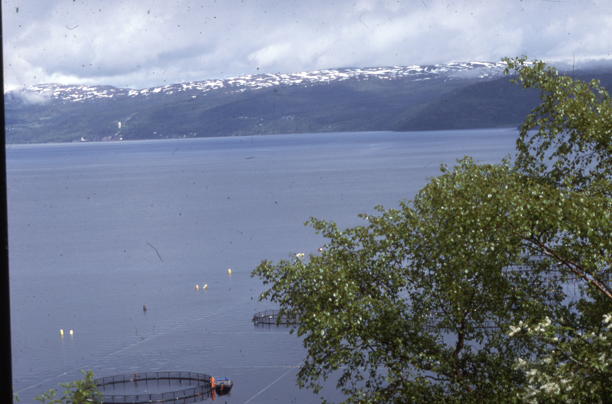 Utsikt mot oppdrettsanlegg