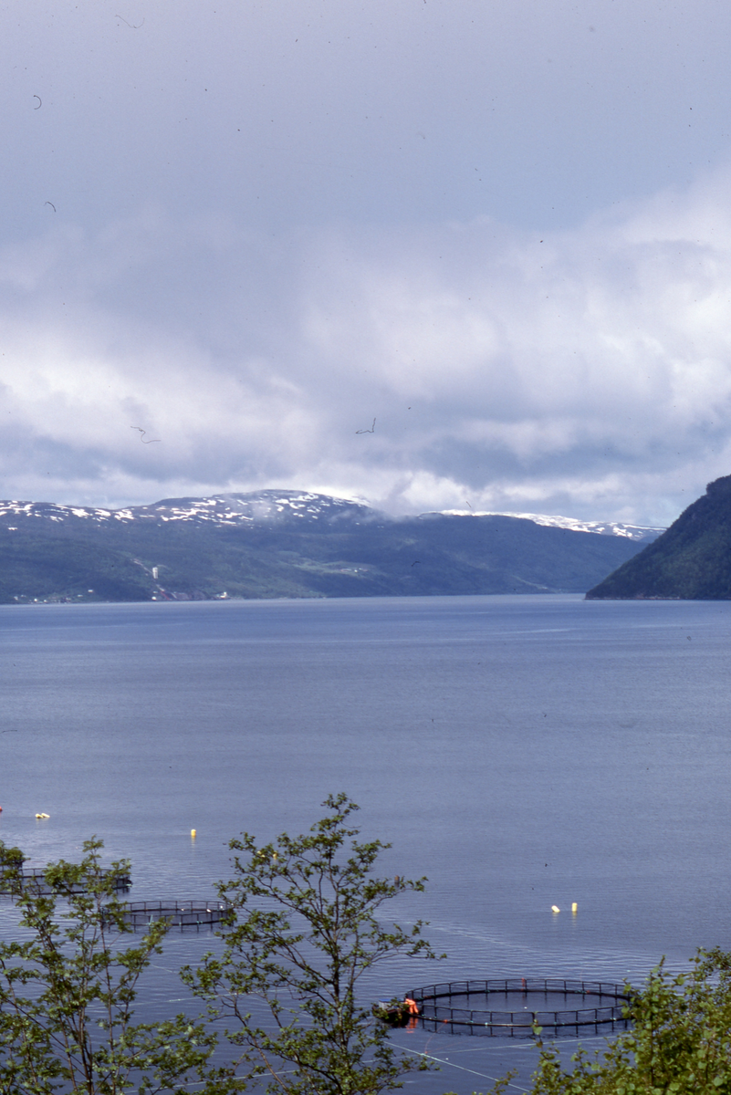 Utsikt mot oppdrettsanlegg