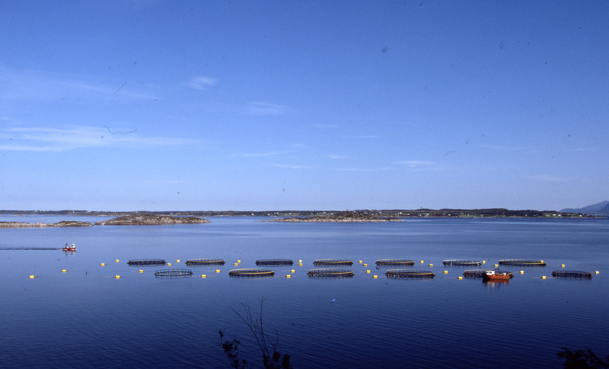 Utsikt mot oppdrettsanlegg