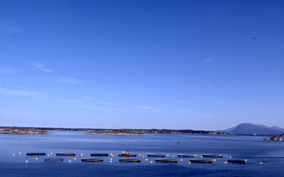 Utsikt mot oppdrettsanlegg