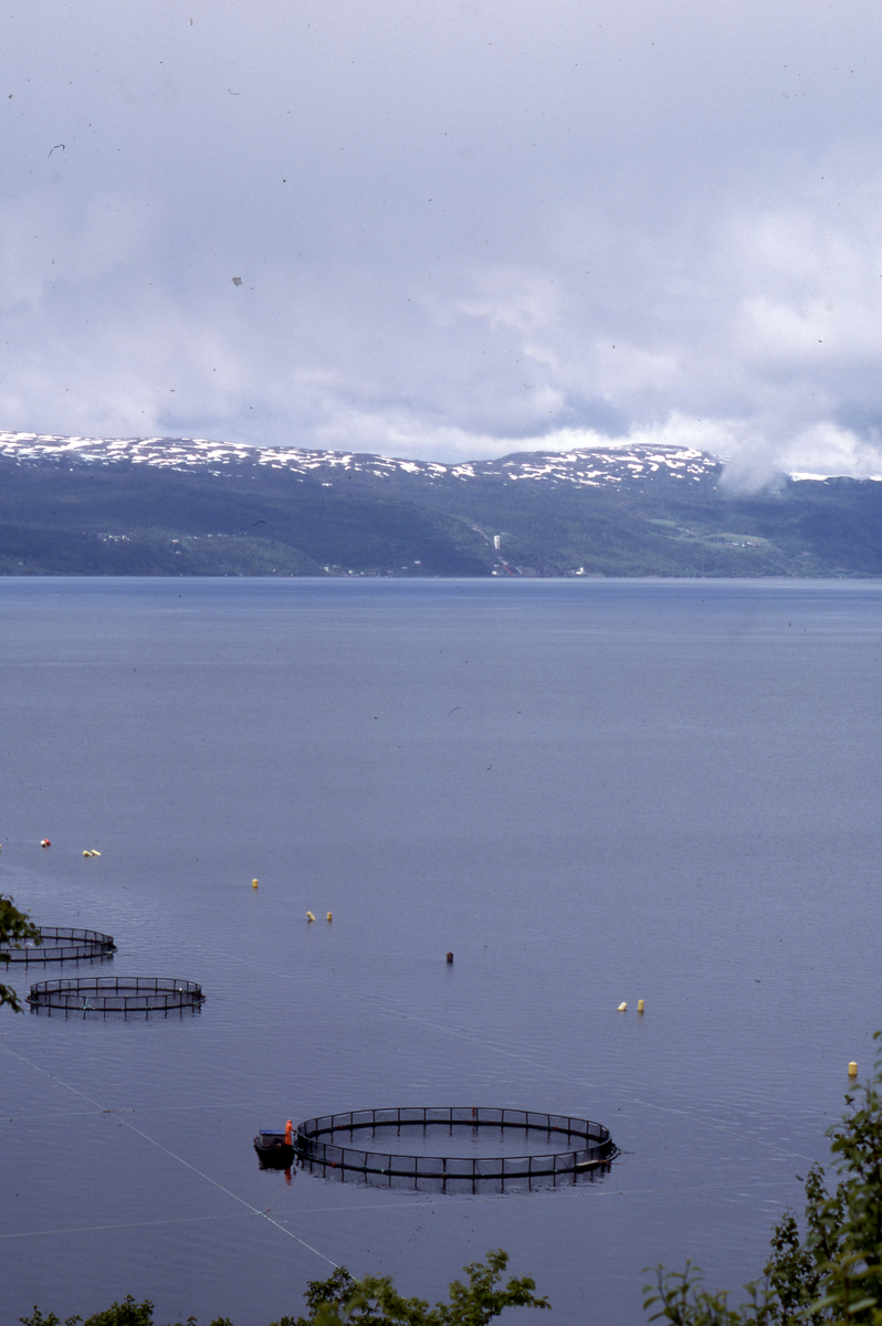 Utsikt mot oppdrettsanlegg