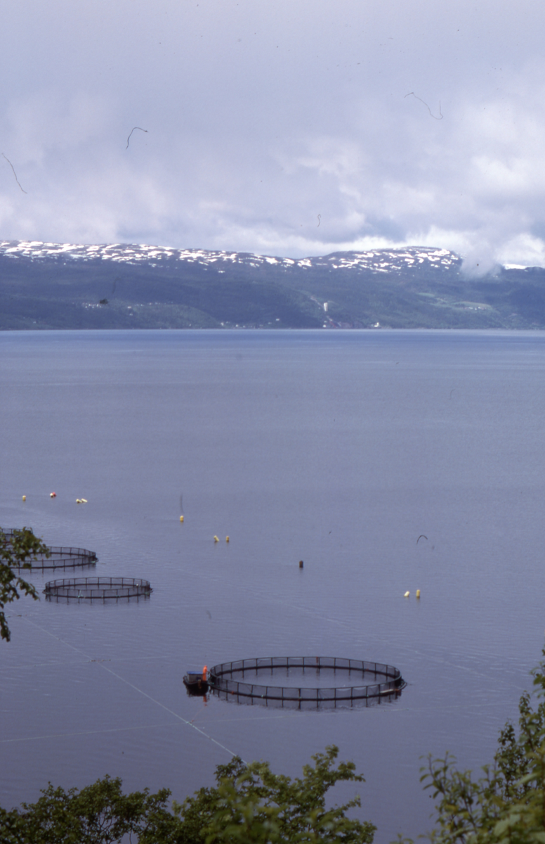 Utsikt mot oppdrettsanlegg