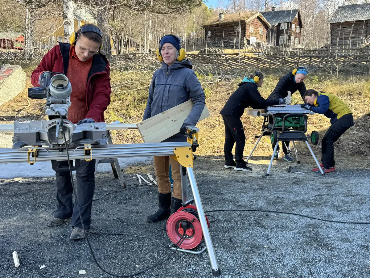 damer som bruker sag