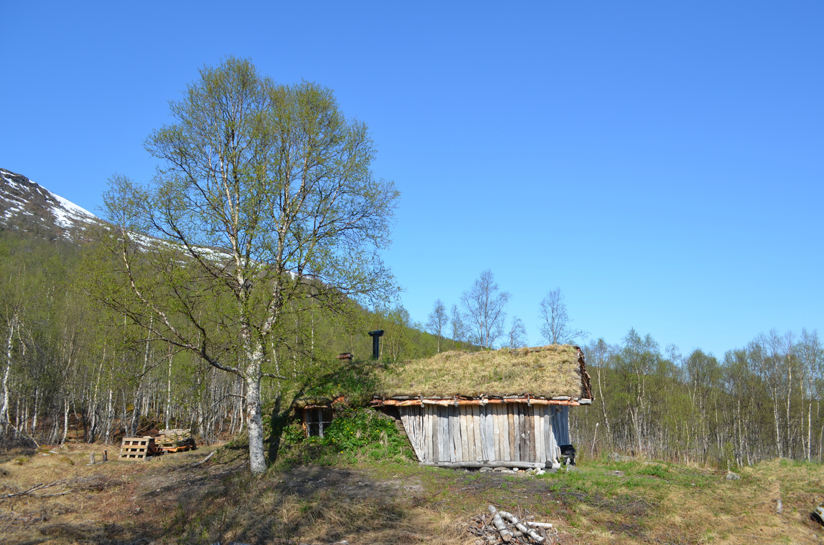 Bolig-gamme på den samiske boplassen i Øver-Kaperdalen som ble etablert på begynnelsen av 1900-tallet.