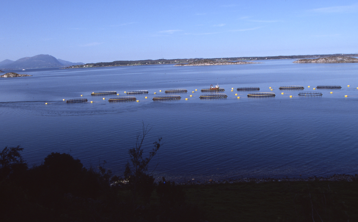 Utsikt mot oppdrettsanlegg