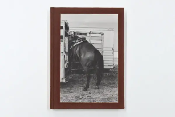 Bokomtale av Anja Niemis fotobok A Naturalist Guide to Magic