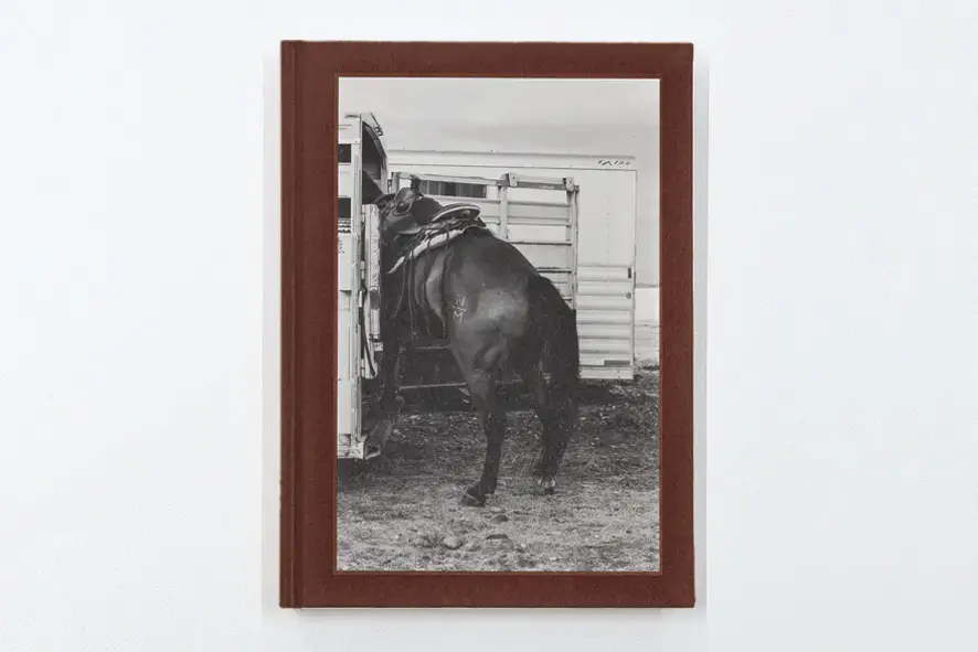 Bokomtale av Anja Niemis fotobok A Naturalist Guide to Magic