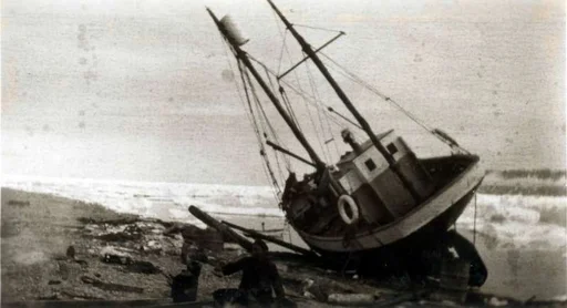 Overvintring, Svalbard