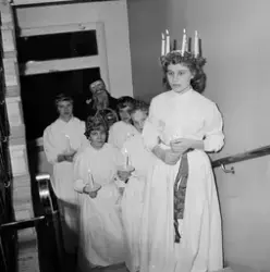 Barnmorskor har decembermöte med Lucia, Uppsala 1959