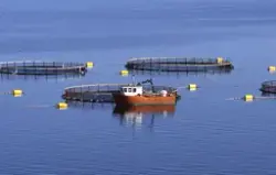 Midsund (Møre og Romsdal) : Utsikt mot oppdrettsanlegg, båt 