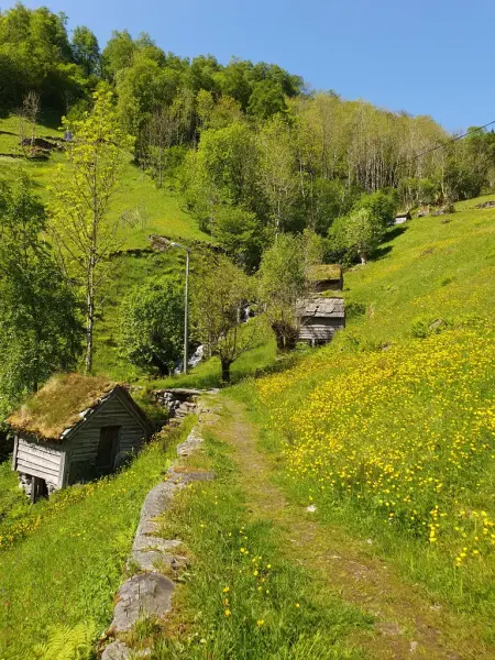 Flere kvernhus ligger oppetter ei bratt li i vårgrønt kulturlandkap