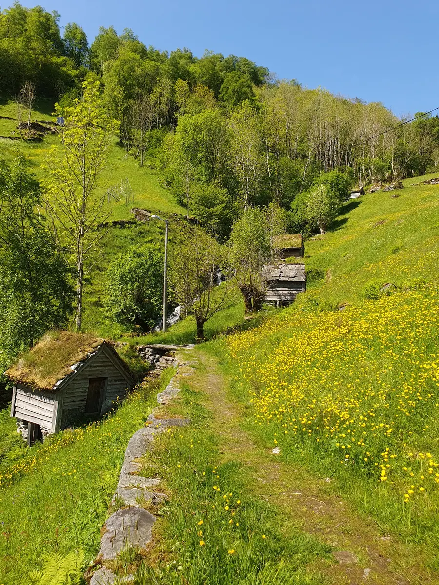 Flere kvernhus ligger oppetter ei bratt li i vårgrønt kulturlandkap