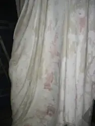 Arkeologisk museum, Universitetet i Stavanger - Foto