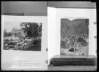 Skioptikon, trädgårdsbilder, Länsträdgårdsmästare Larsson, Västerås.
Ur Gustaf Åhmans samling.