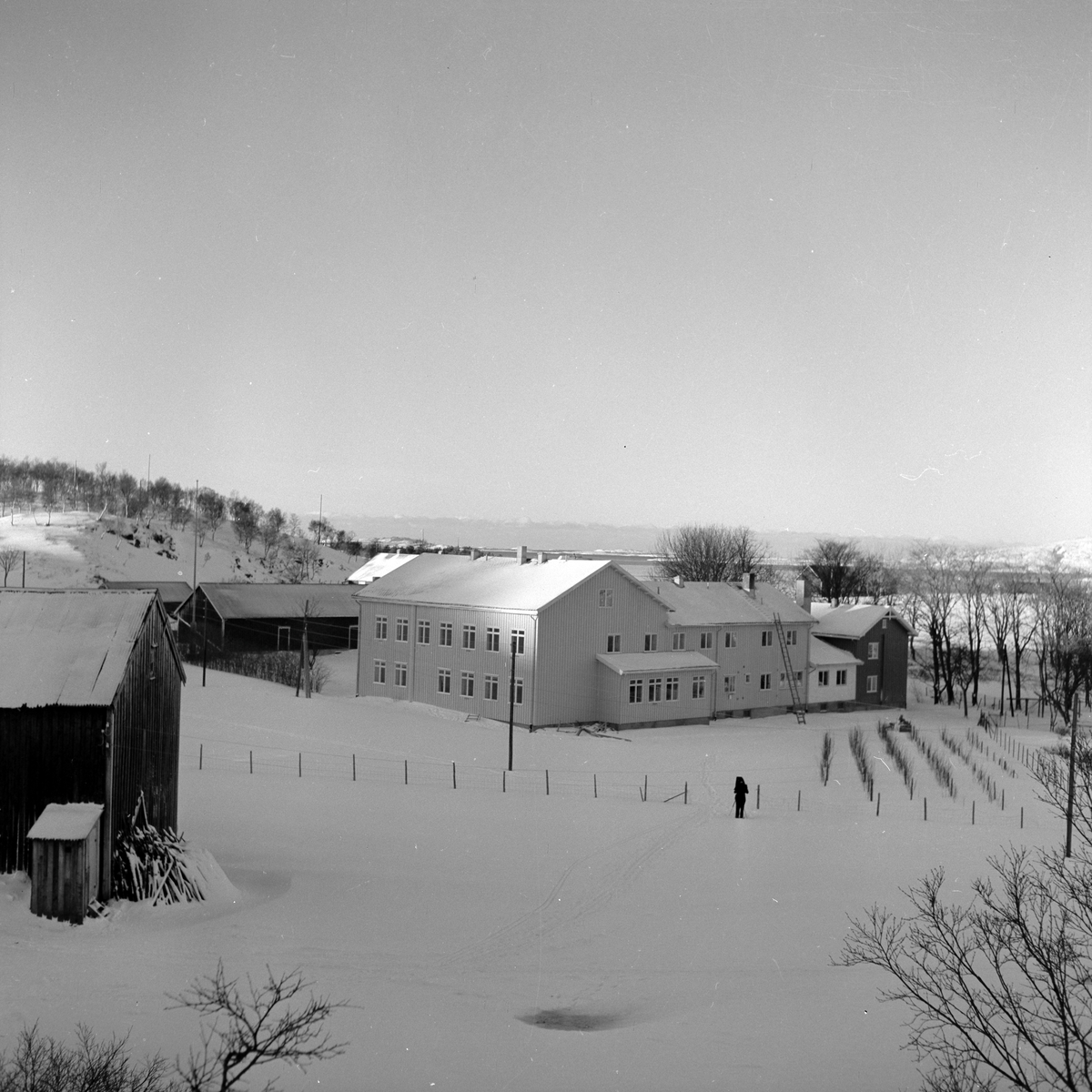Søvik husmorskole på Alstadhaug