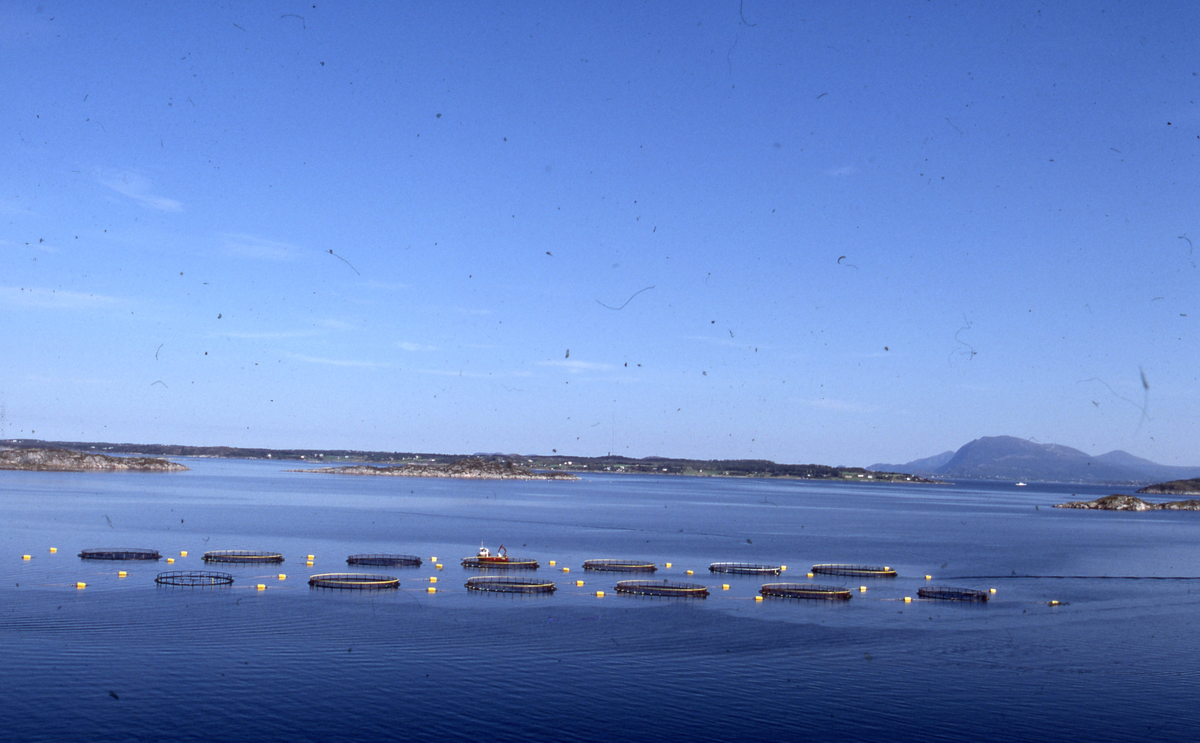 Utsikt mot oppdrettsanlegg