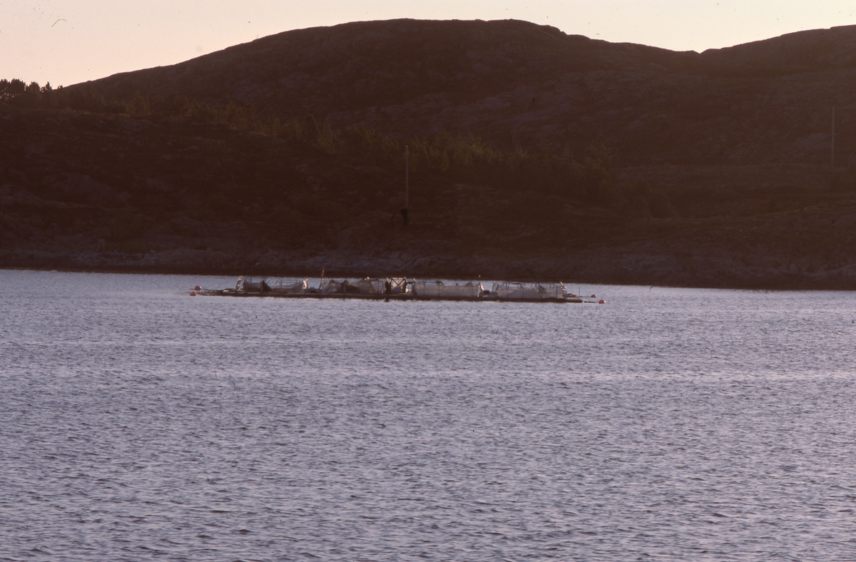 Utsikt mot oppdretsanlegg