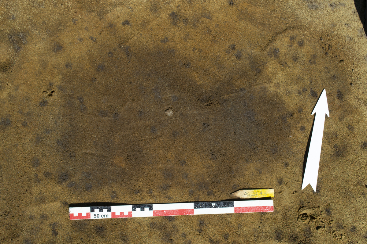 Bosetningsspor, graver, steinalderlag og dyrkingslag. 
Stolpehull AS3643 i plan.