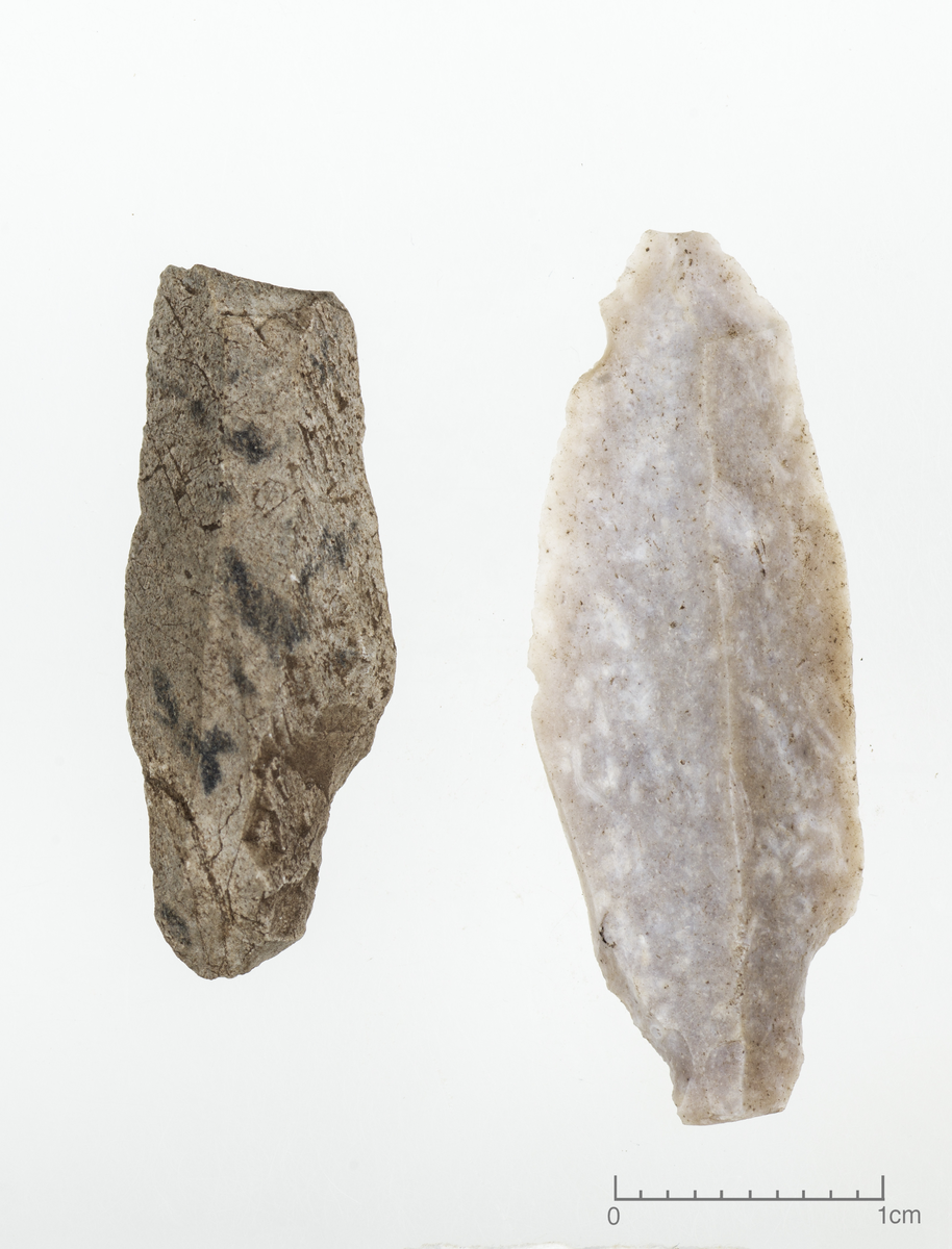 To tangespisser av A type, en av rhyolitt og en av flint.