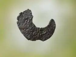 Arkeologisk museum, Universitetet i Stavanger - Gjenstand