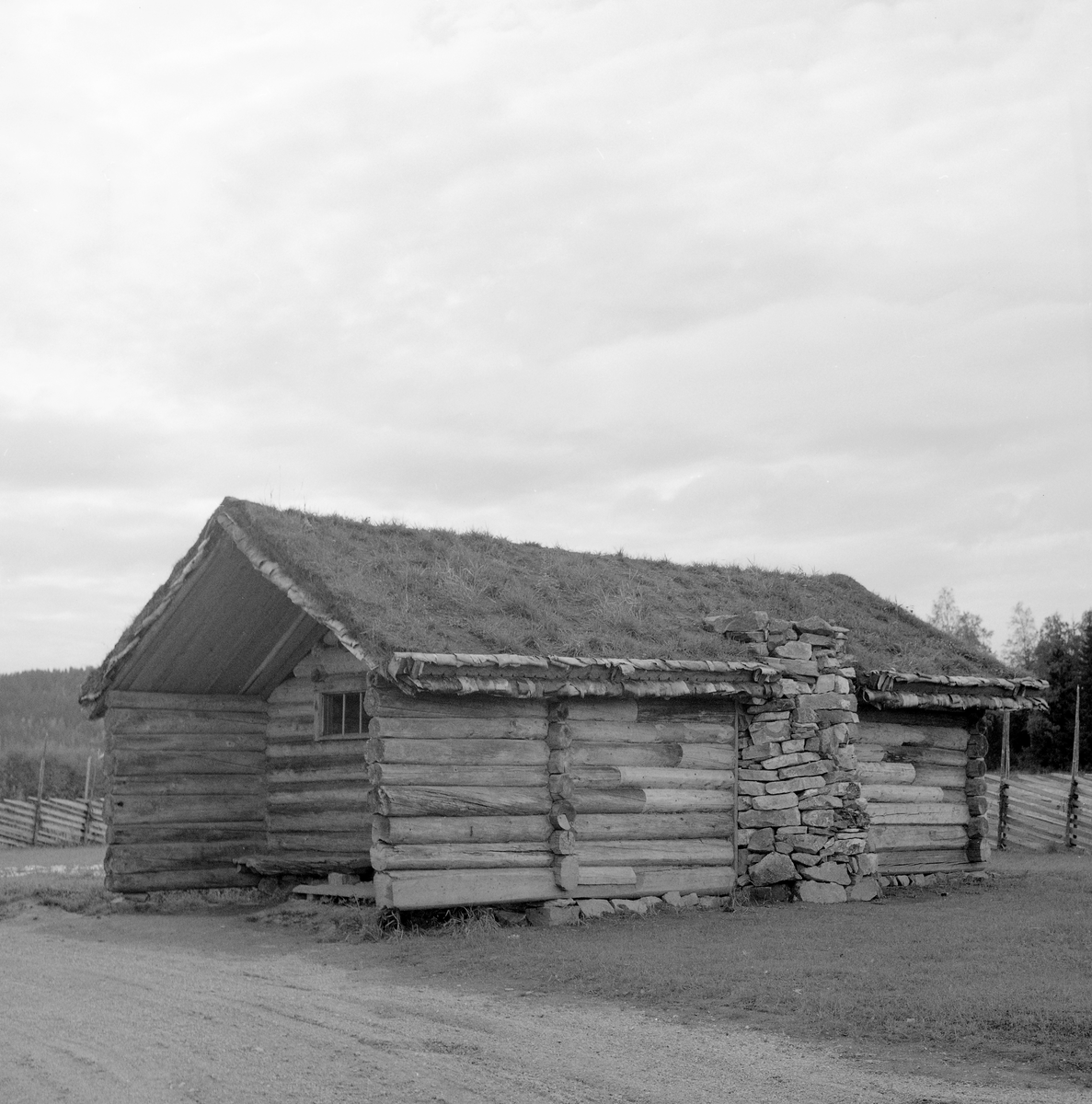 Murkoie fra <Fattigmannsholtet>. 