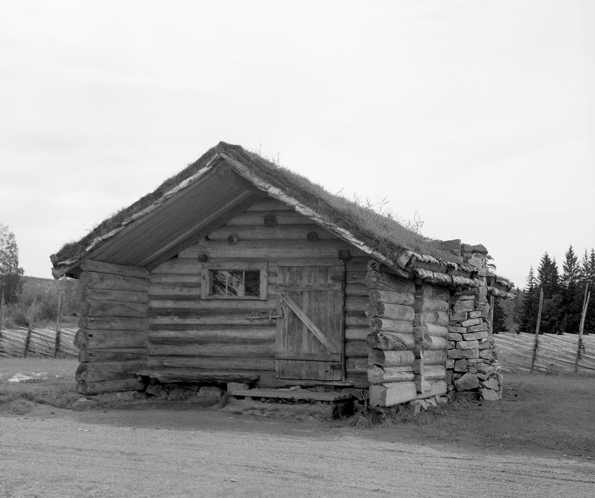 Murkoie fra <Fattigmannsholtet>. 