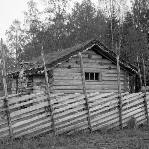Murkoie fra <Fattigmannsholtet>