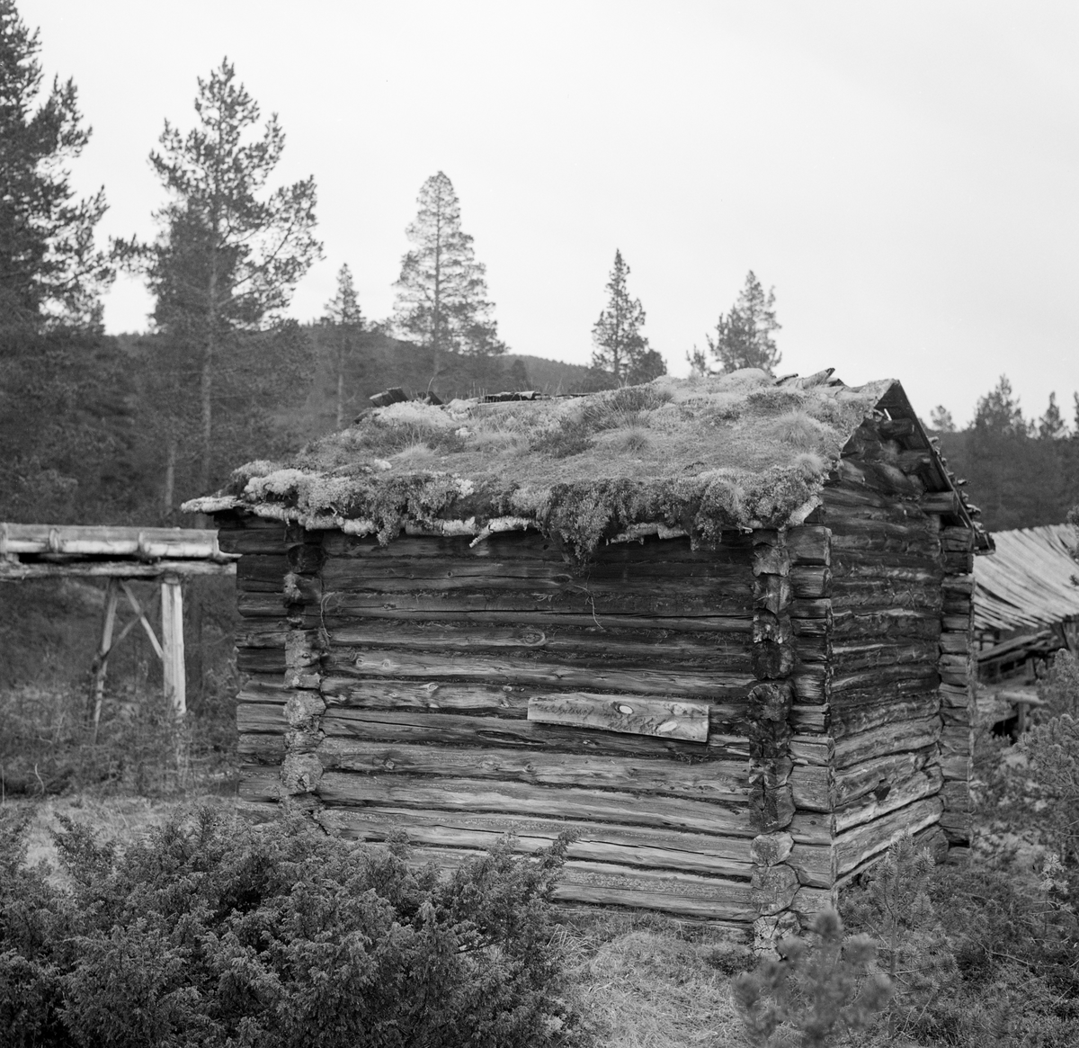 Peiskoie. Sagkoie på Erlien, Tolga. Eier Per P. Erlien. 