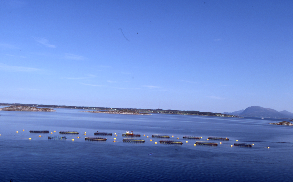 Utsikt mot oppdrettsanlegg
