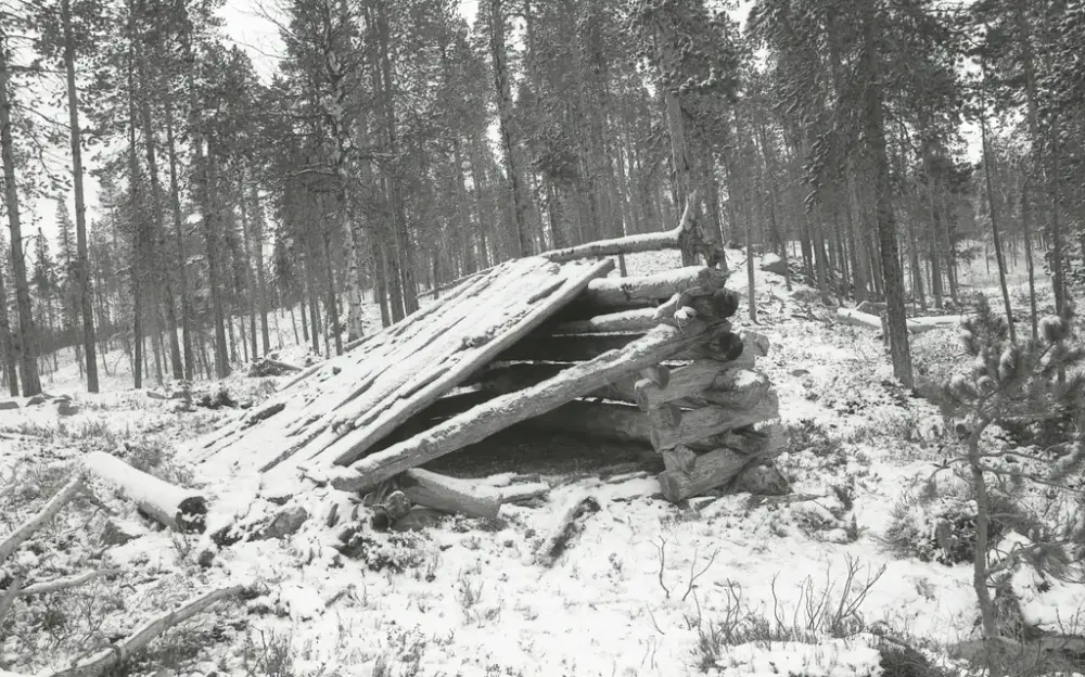 Naust med pulttak. Naustet står i skogen, bakken og naustet er dekt med snø.Naustet er laftet og i dårlig forfattning. Deler av taken og venstre vegg mangerl. 