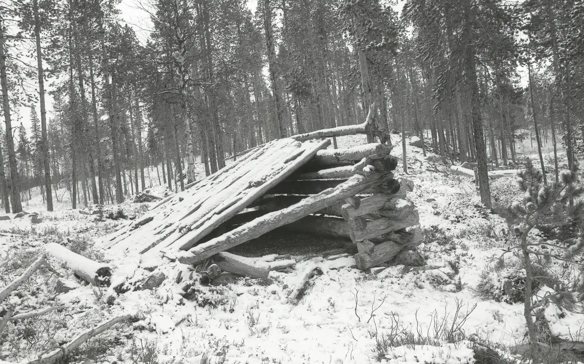 Naust med pulttak. Naustet står i skogen, bakken og naustet er dekt med snø.Naustet er laftet og i dårlig forfattning. Deler av taken og venstre vegg mangerl. 