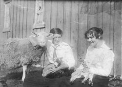 To unge kvinner koser seg i sola sammen med en sau og hennes