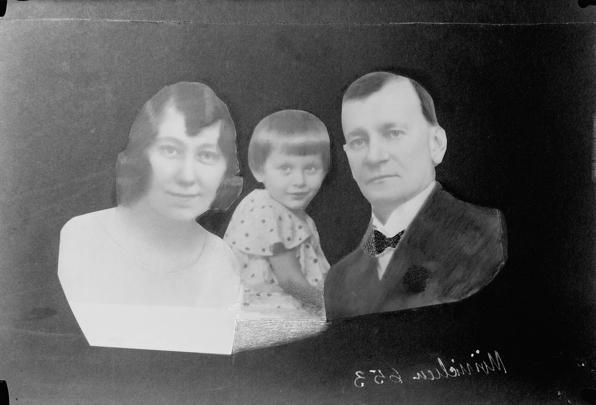 Representantskapet: Møinichen, Olaf Stenberg