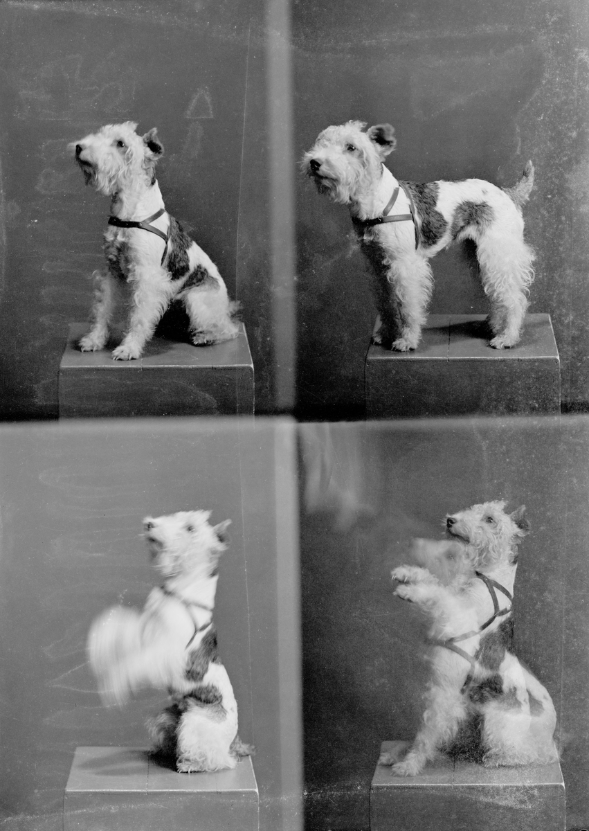 Tore Larsen, frk Suphammer. Barnebilde