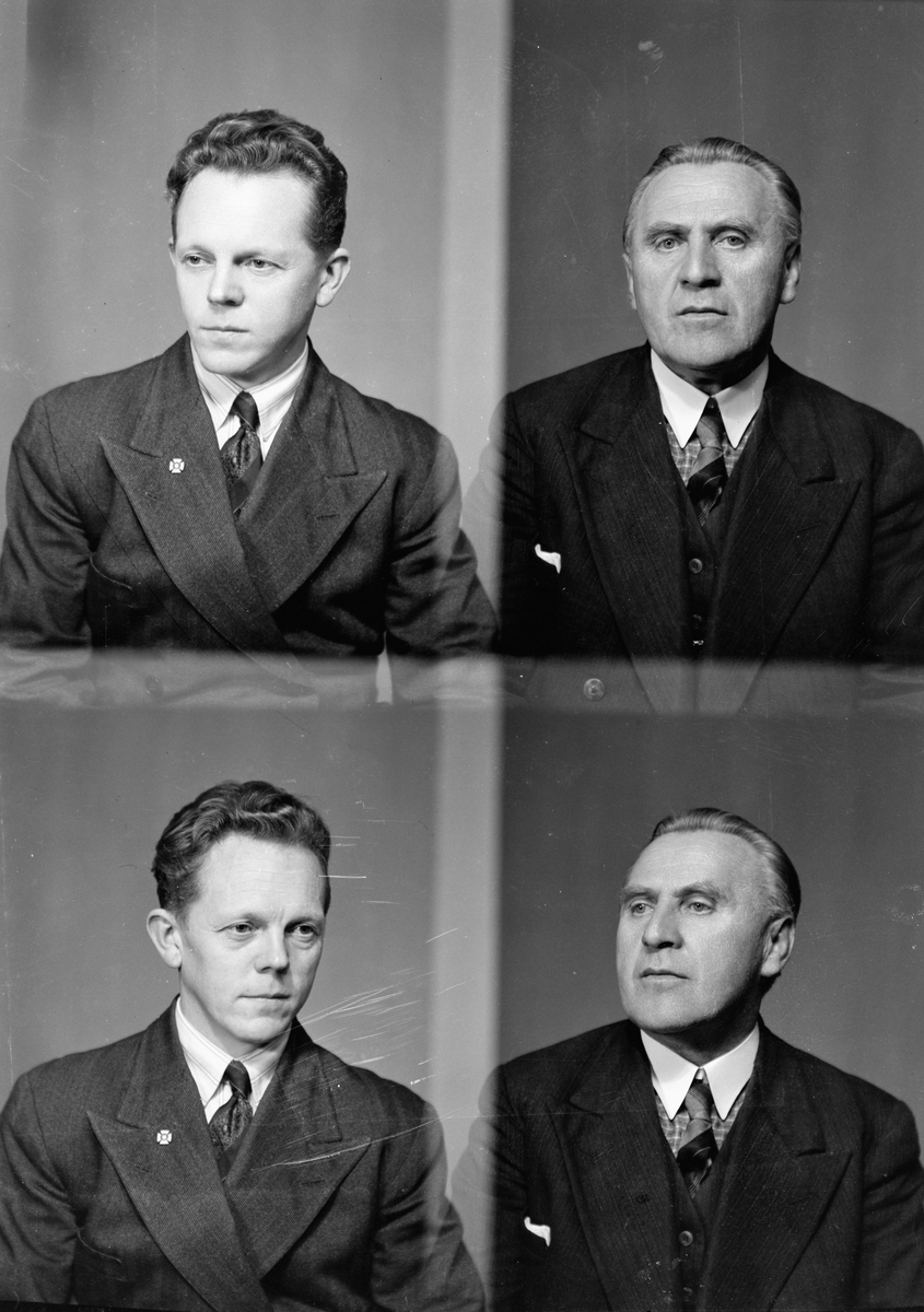 Herredstinget i Skedsmo, gruppebilde