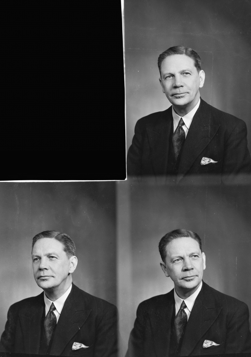 Herredstinget i Skedsmo, gruppebilde