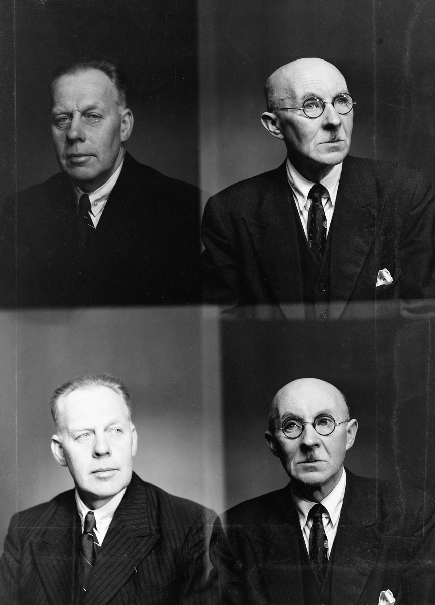 Herredstinget i Skedsmo, gruppebilde