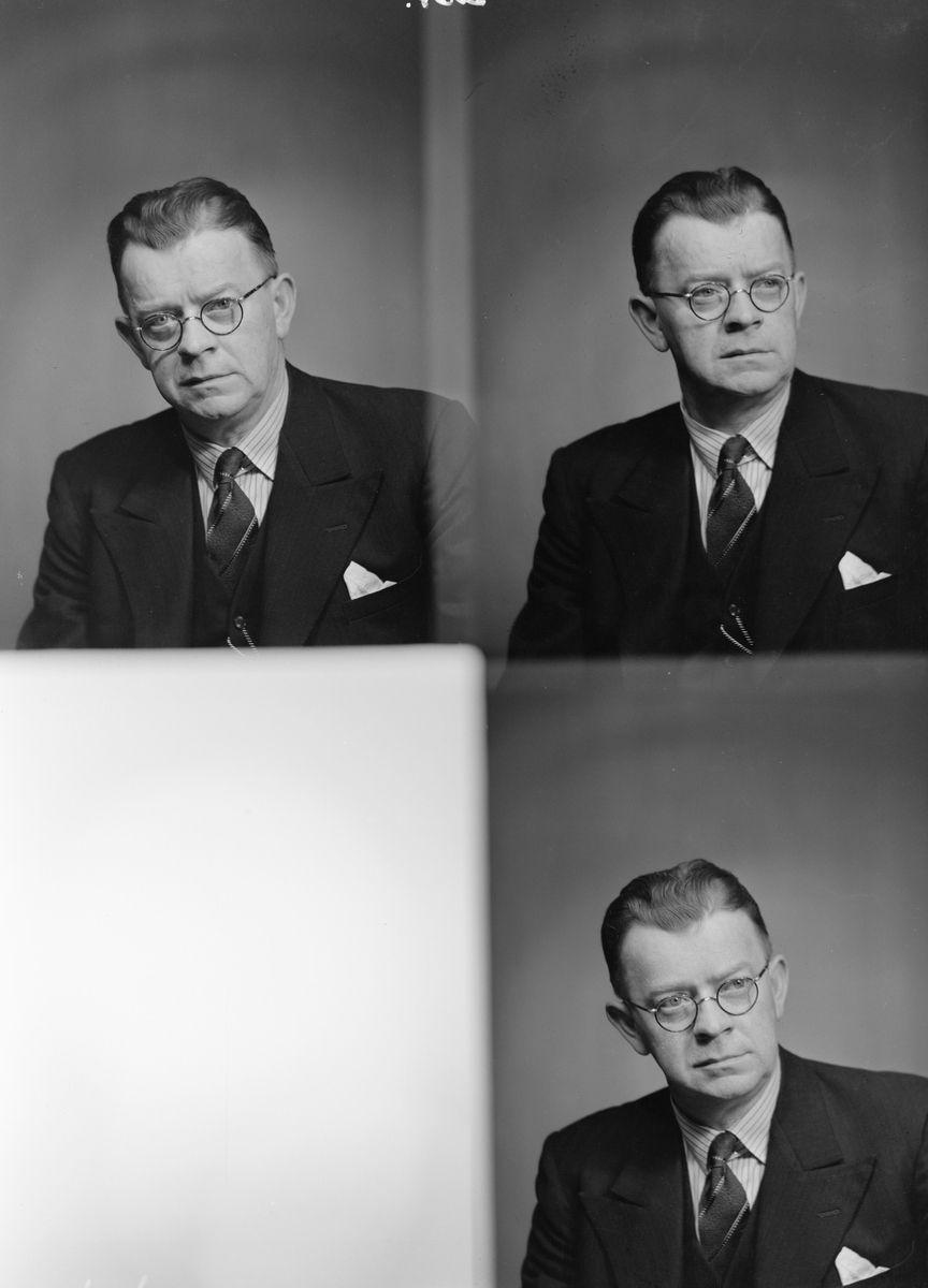 Herredstinget i Skedsmo, gruppebilde