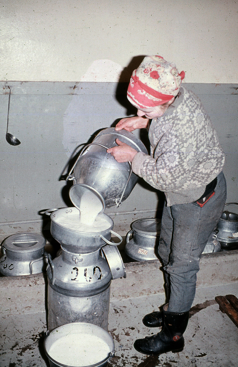 Ukjent kvinne siler melk over på melkespann. Antagelig i Valdres, 1980- eller 90-årene. 