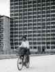 Brevbäring i Lorensborg, Malmö augusti 1959.