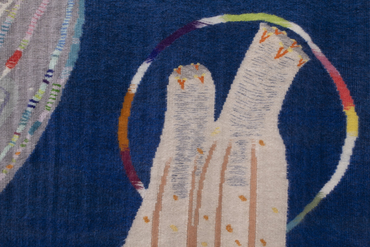 To marine dyr: tunikaten og kammaneten. 